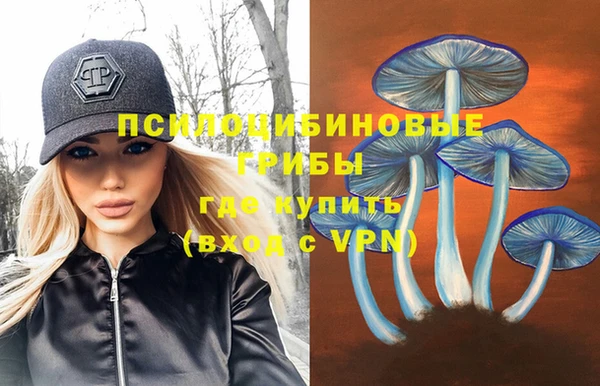 гидра Зеленодольск