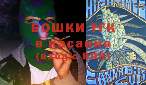 гидра Зеленодольск