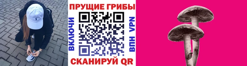 хочу наркоту Ишим Псилоцибиновые грибы Psilocybine cubensis