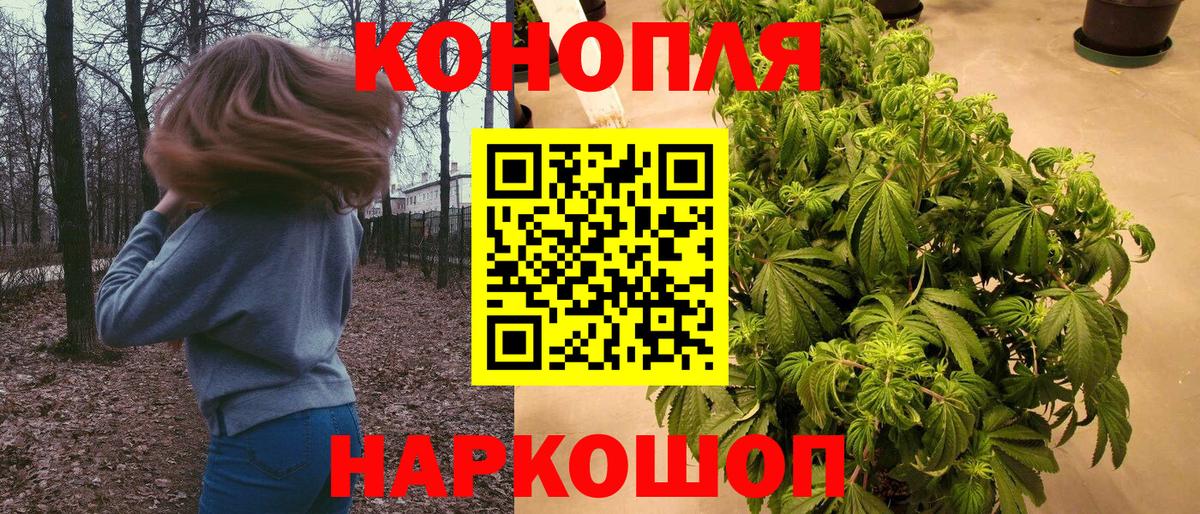 Ишим  Конопля Bruce Banner  Бошки Шишки гибрид  Шишки марихуана семена  Вход с VPN 